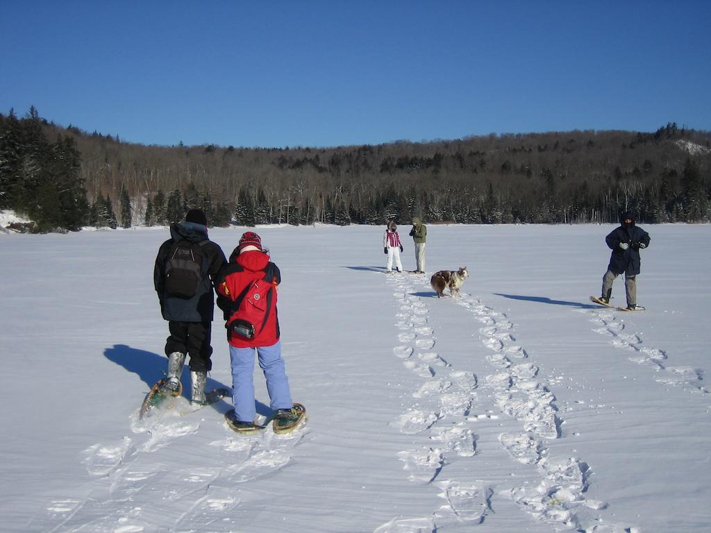 Algonquin Eco-Lodge Harcourt Exterior photo